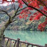 石川県紅葉、グループホームのお出かけレクリエーション