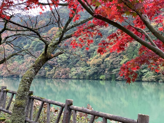 石川県紅葉、グループホームのお出かけレクリエーション