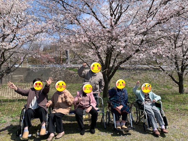 グループホーム１・２・Sun介護施設のお花見レクリエーション