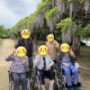 石川県の藤棚の名所へドライブ！介護レク