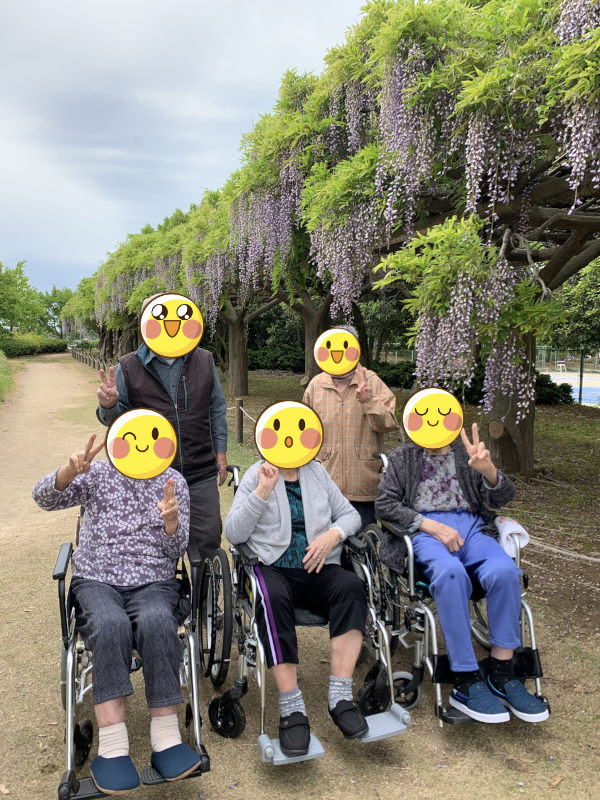 石川県の藤棚の名所へドライブ！介護レク