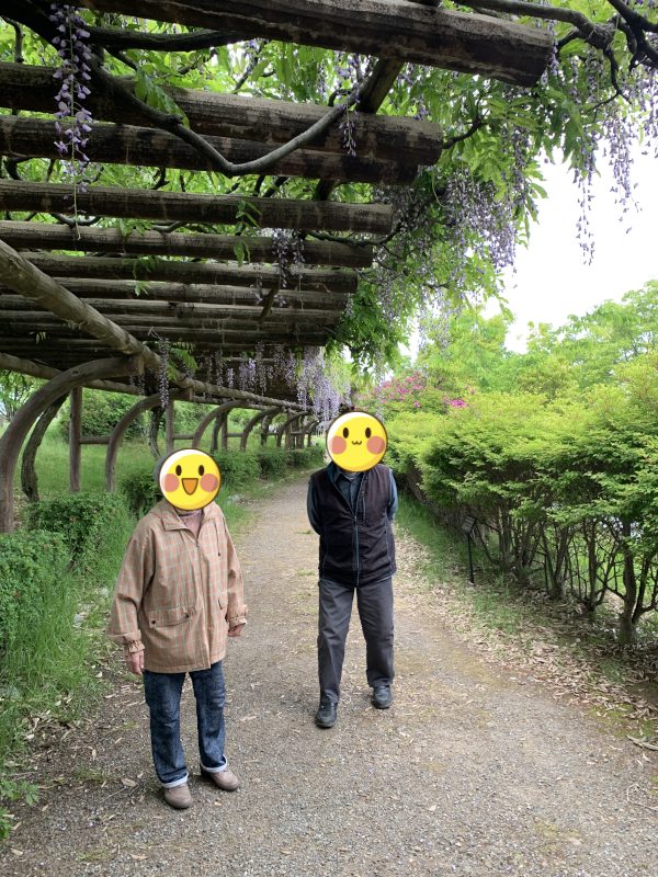 石川県の藤棚の名所へドライブ！介護レク