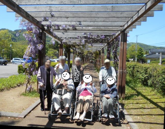 石川県の藤棚の名所へドライブ！介護レク