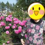 金沢市バラ園の写真