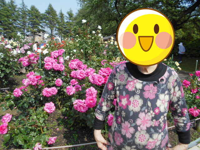 金沢市バラ園の写真