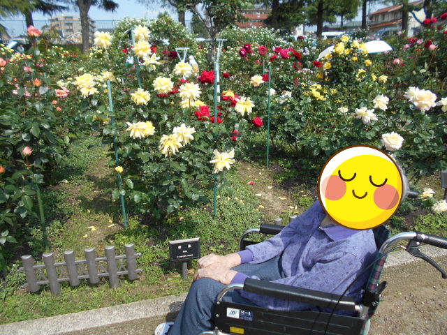 金沢市バラ園の写真