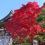 グループホームイチニサンの紅葉狩り。倶利伽羅不動尊へ。