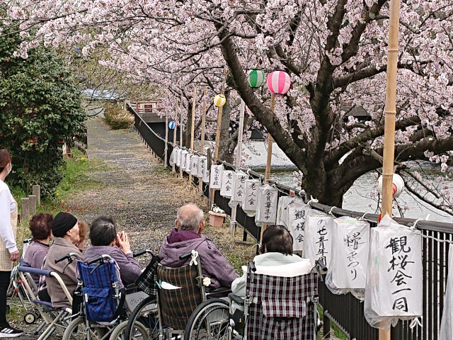 グループホームのお花見