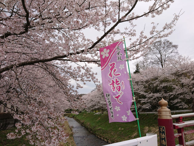 グループホームのお花見