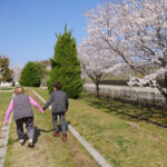 グループホームのお花見