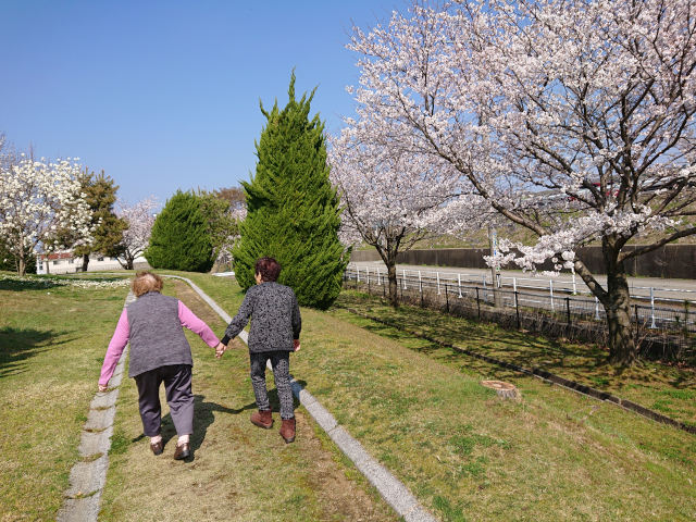 グループホームのお花見