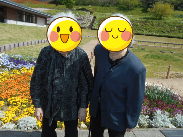 大乗寺丘陵公園 つつじ園